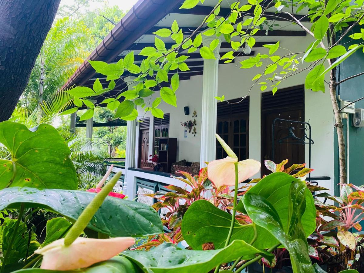 The Jungle Path Lodge Sigirija Zewnętrze zdjęcie